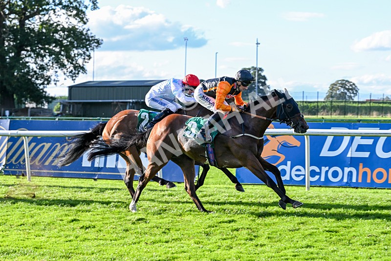 140926-Race 7-Forest Caper-7961 - Race 7 5.21pm Bowel Cancer Screening Programme Saves Lives Handicap