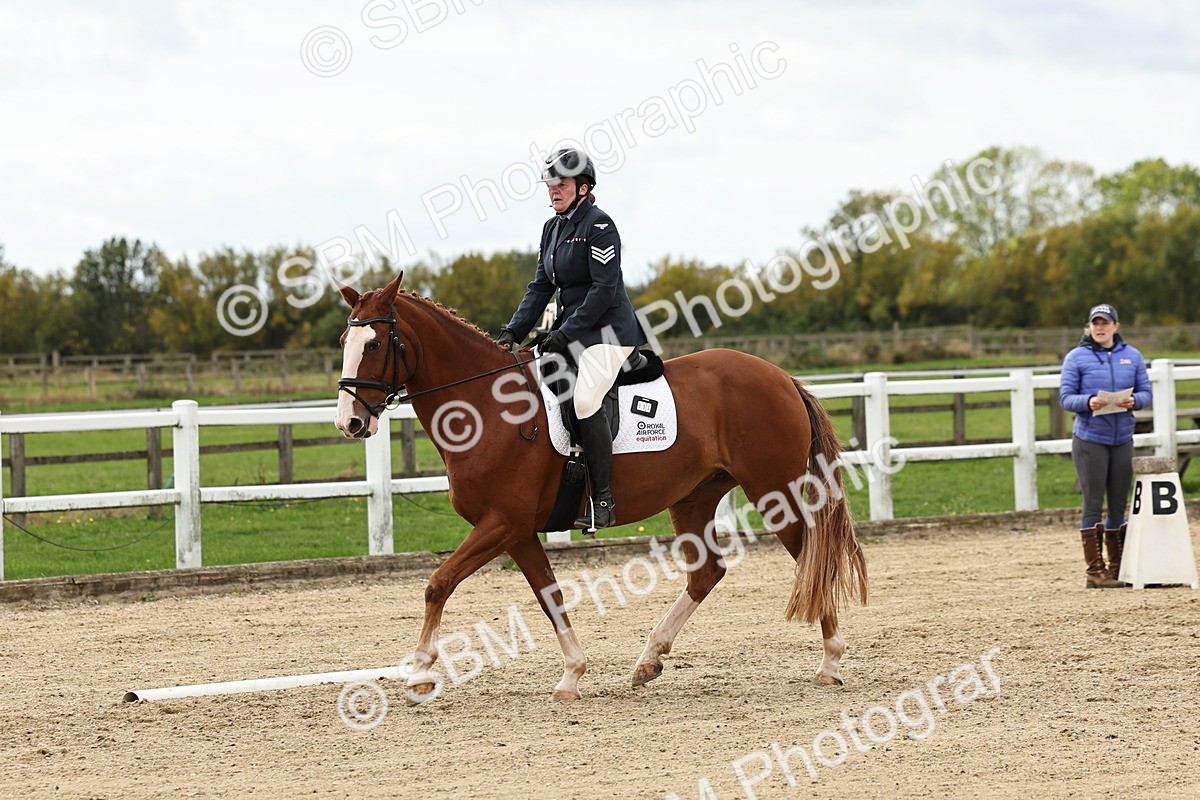 SBM_004645 - Class 69 - Novice 2