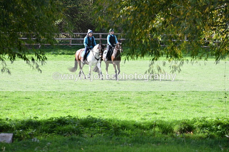 WJ5_8381 - Time 12:02 to 12:32