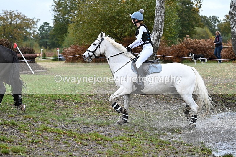 WJ7_2276 - 80cm Cam 2 Pairs Time 12:18 to 12:43