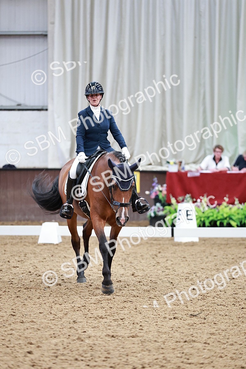 SBM_014258 - Class 7 - Ele FSM Bronze 12.12.13.08