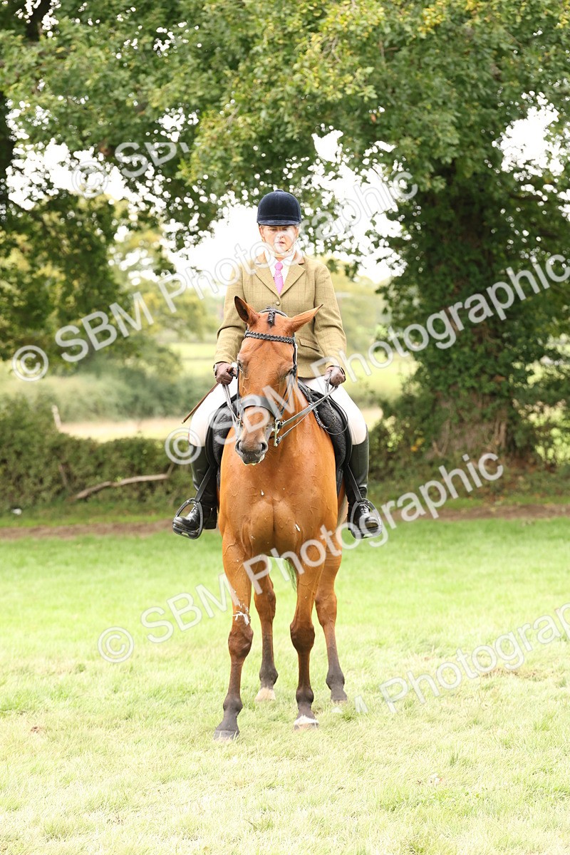 SBM_66362 - S66 - Hunter Ridden