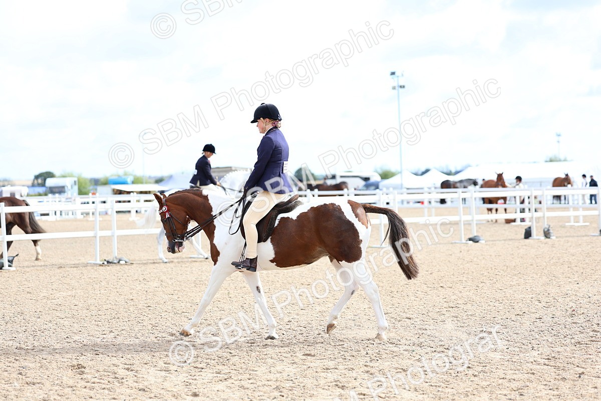 SBM_10055 - Class 304 - Ridden Part Bred Horse Pony