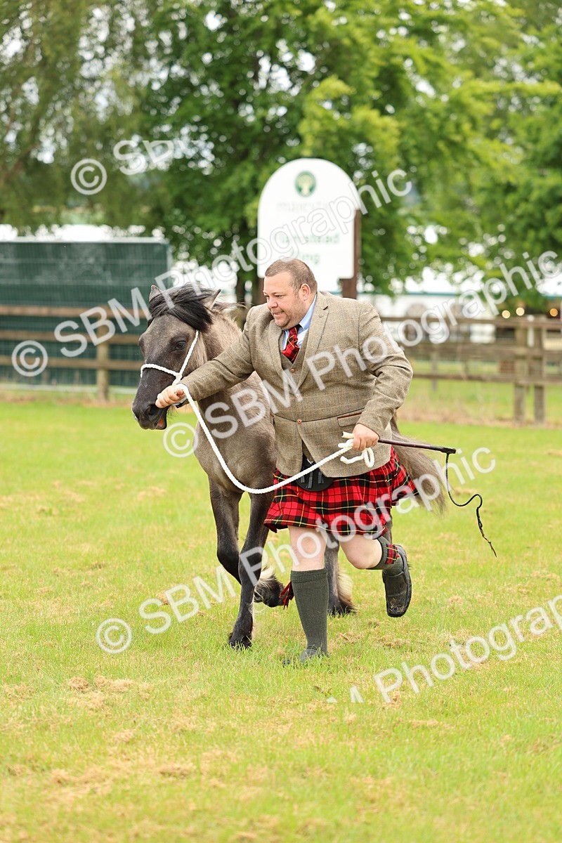 SBM_00415 - Class 58-67 - M&M Non Welsh Pony In hand