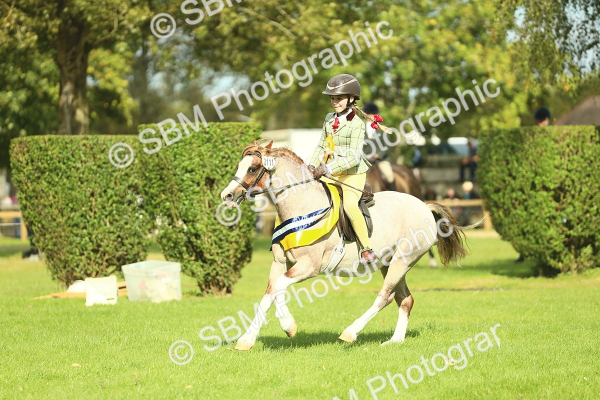 SBM_45037 - Working Hunter Pony Supreme Championship