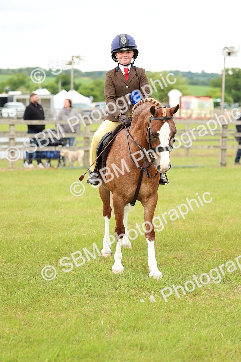 SBM_10405 - Class 44-45 - LIHS BSPS Open Nursery and Cradle Stakes