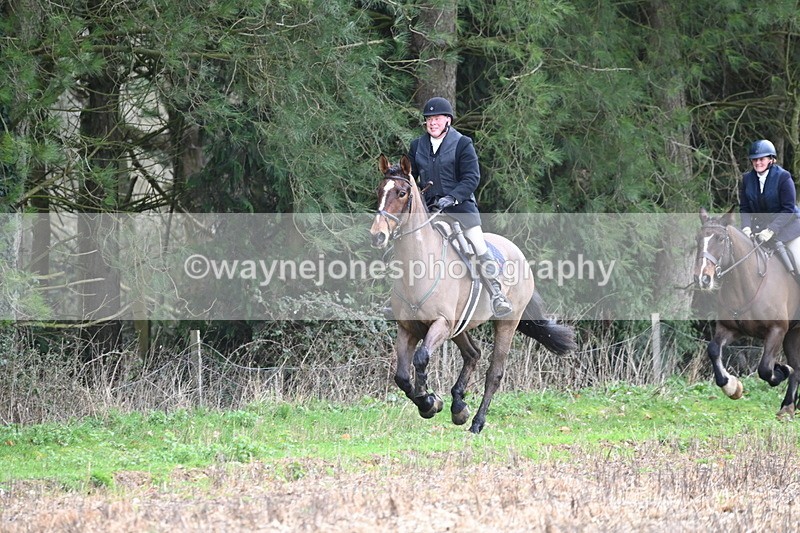 WJ6_9721 - Line Four