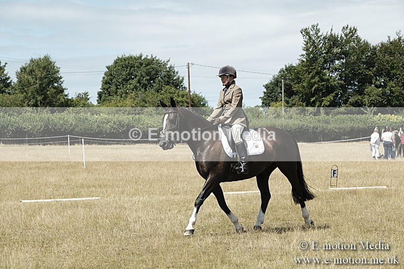 _PJP5856 - Dressage Classes BVRC Show 2018
