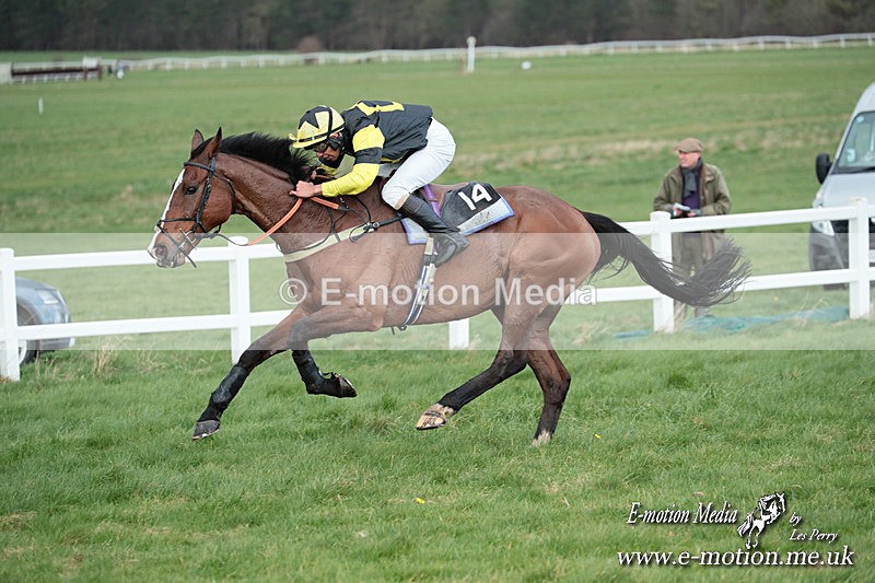 PtP 230324 892 - Tedworth Hunt PtP Larkhill Raccourse 23rd March 2024