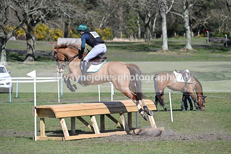 WJ7_1295 - XC Time 13:35 to 13:40