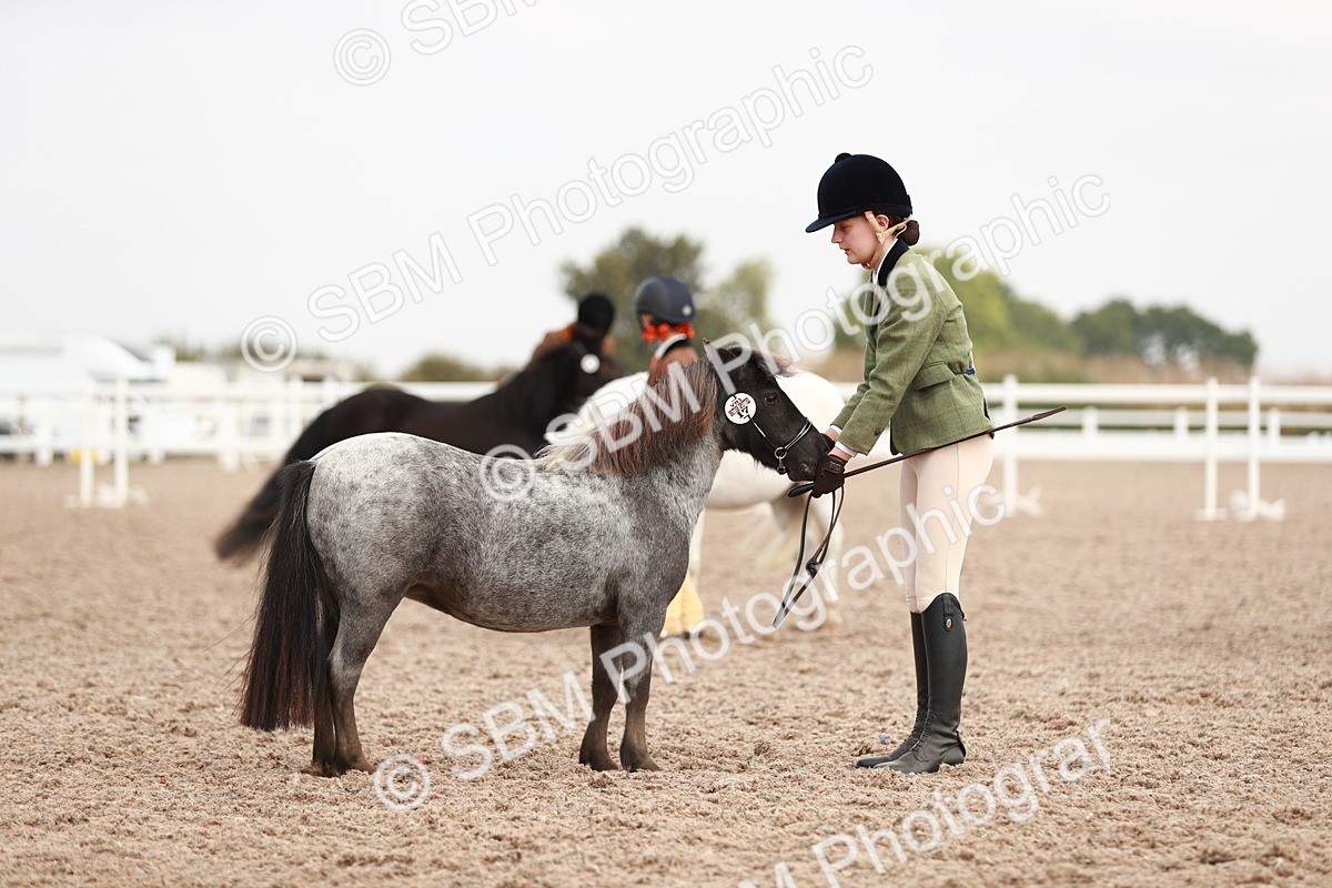SBM_11878 - Class 206 IH Non Show Type Pony