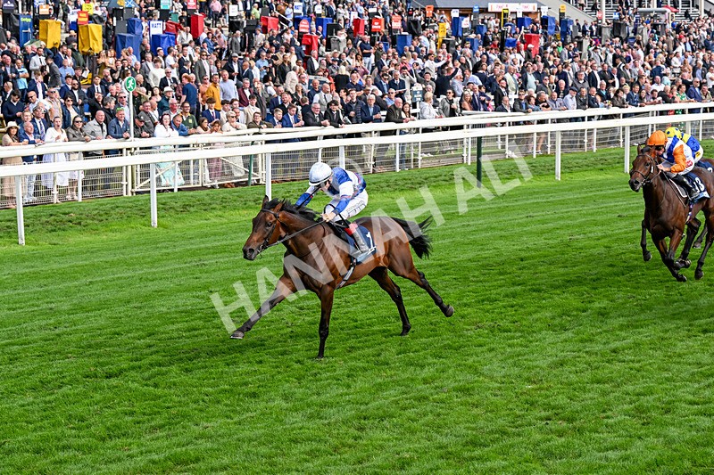 210826-Race 6-Benjamin Hornigold-0380 - Race 6 16.45pm British Stallion Studs EBF Convivial Maiden Stakes