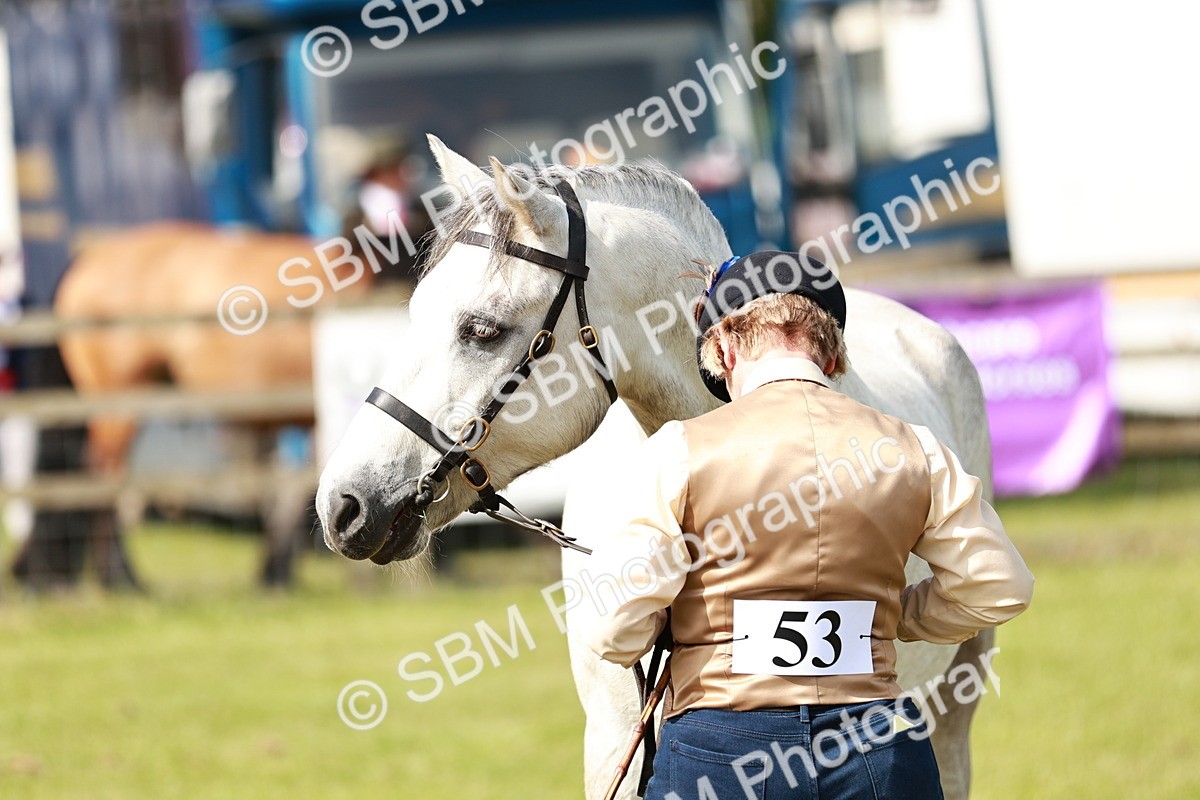 SBM_01717