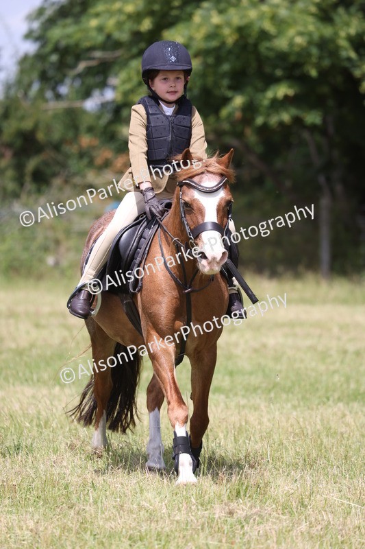 20260614-2021 - Class 21 - Novice Working Hunter Pony