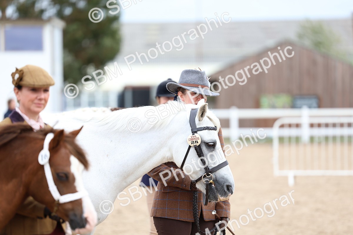 SBM_05937 - Class 29 - IH Veteran Pony