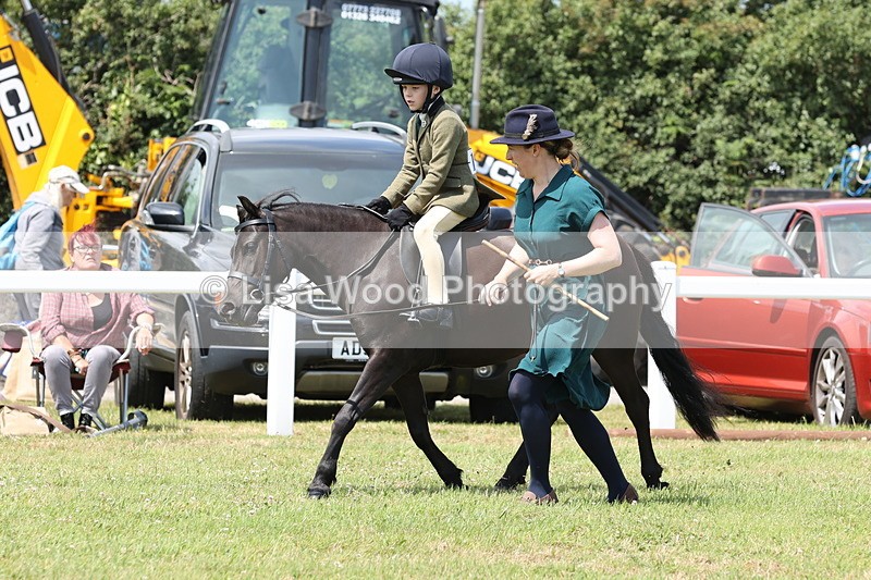 JPP_1878 - Class 18: Tiny Tots Working Hunter Pony