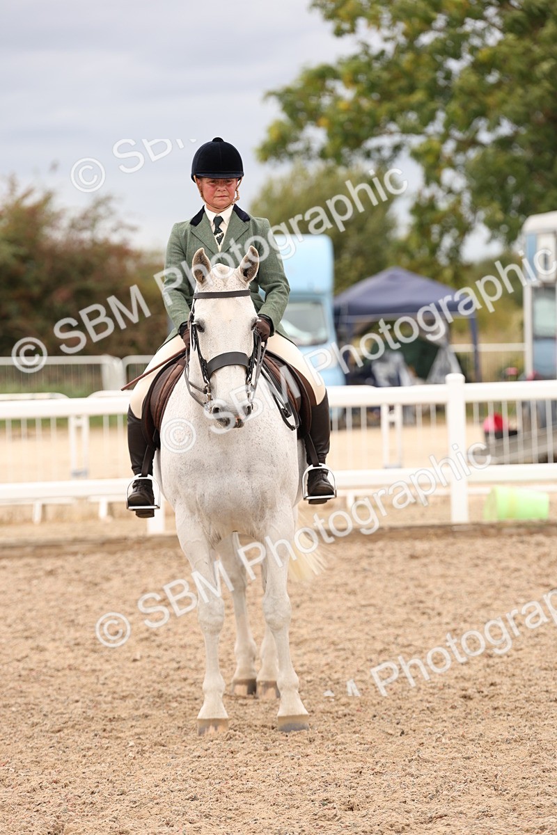 SBM_19576 - Class 215 - Ridden Show cob