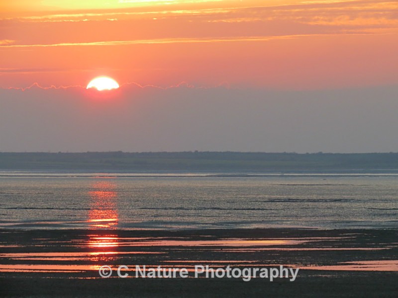 The Setting Sun - Sunsets