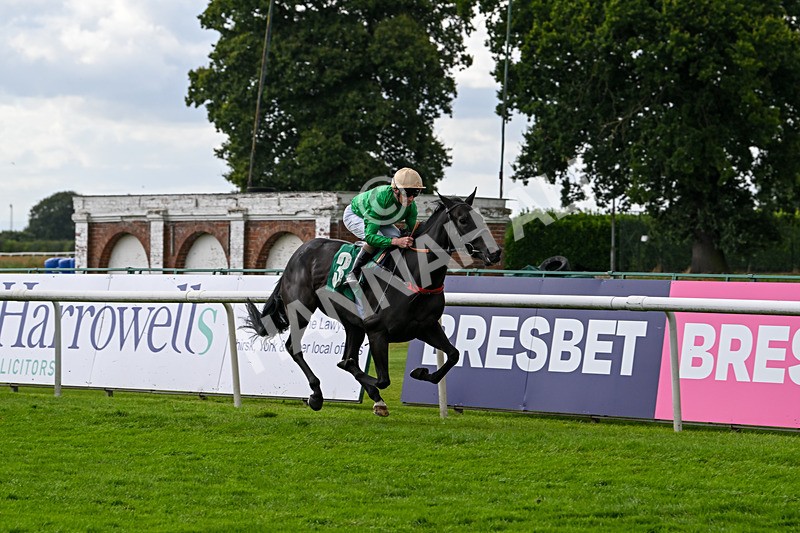 090824-Race 5-Quietness-4768 - Race 5