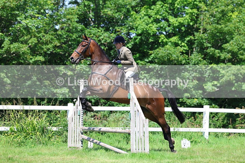 3E7A7073 - Class 30: Novice Working Hunter