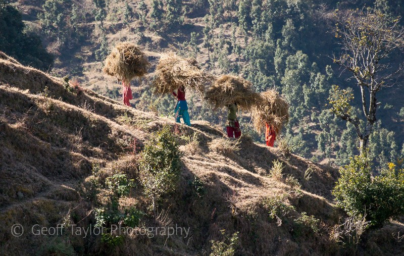 Matkanya to Khali Eatate - Binsar Sanctuary