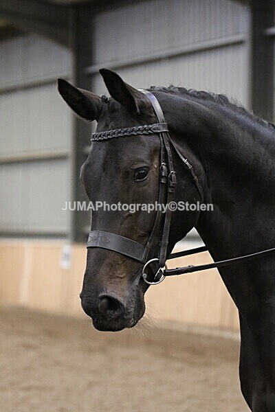 SIAL2693 - Sunday 14th Ridden