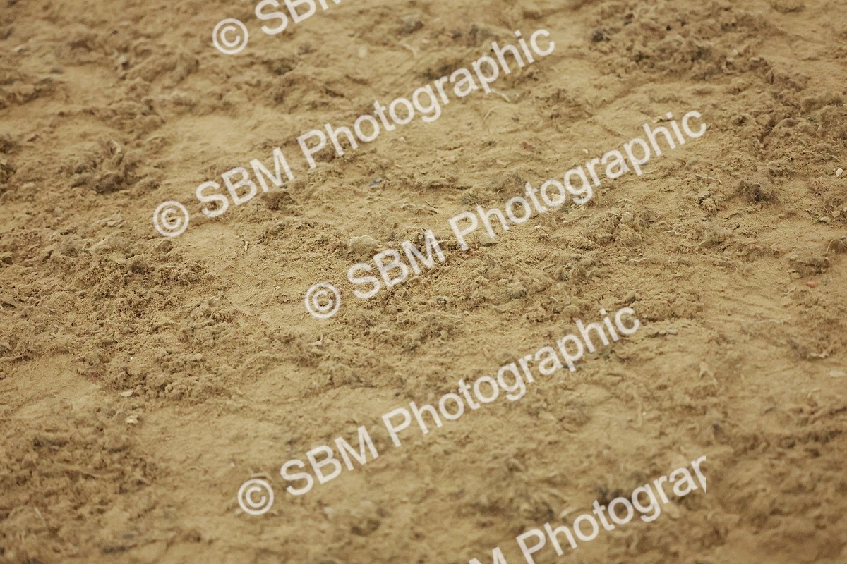 SBM_004921 - Class 6 - Chase Me Charlie