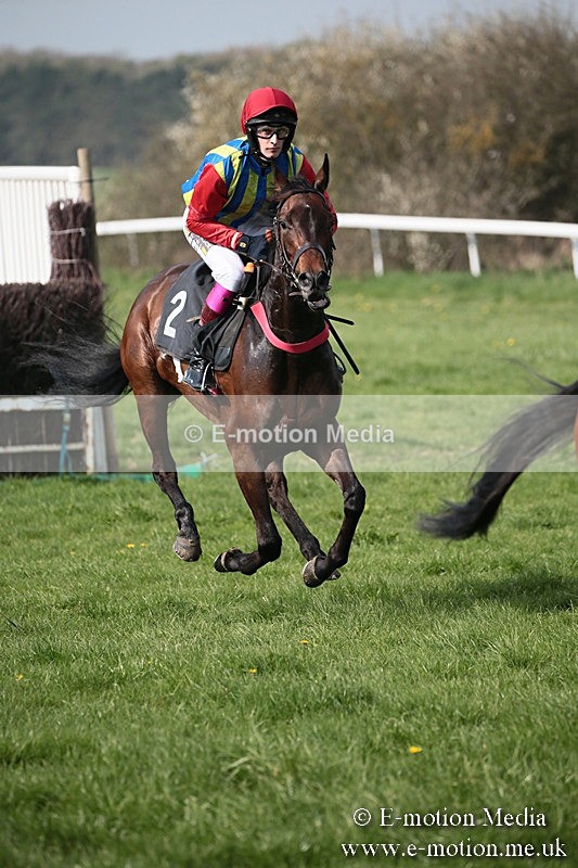 PtP 210418 430 - South & West Wilts Point-to-Point Larkhill 21/04/18
