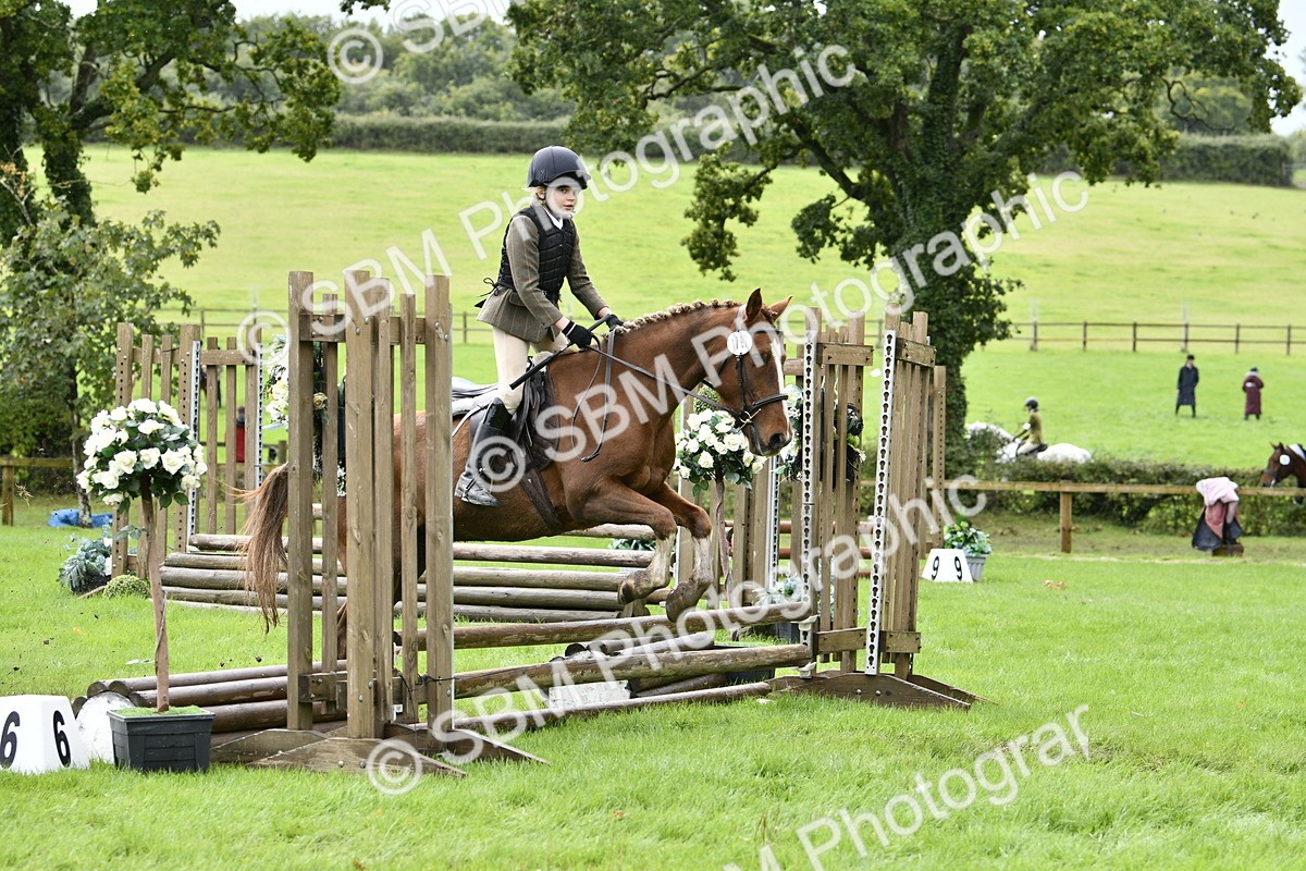 SBM_41472 - S32 - Mountain & Moorland Working Hunter Pony