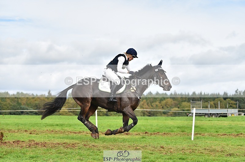 231021-134950-18489 - 464-IMPERIAL.TANGLE-Deborah.Burrell-SC+XC