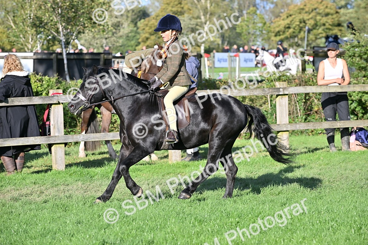 SBM_53017 - S23 - First Ridden Mountain & Moorland Pony