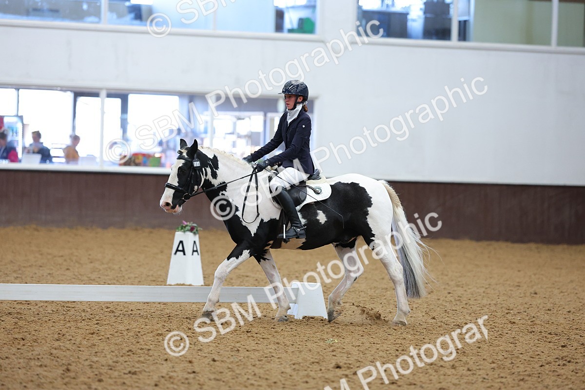 SBM_002611 - Novice