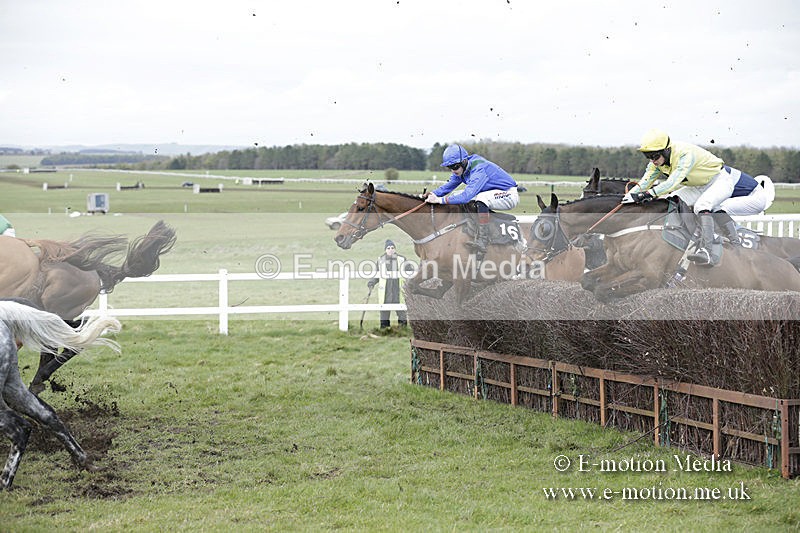 PtP 150320 0677 - New Forest Point-to-Point Larkhill 15/03/20
