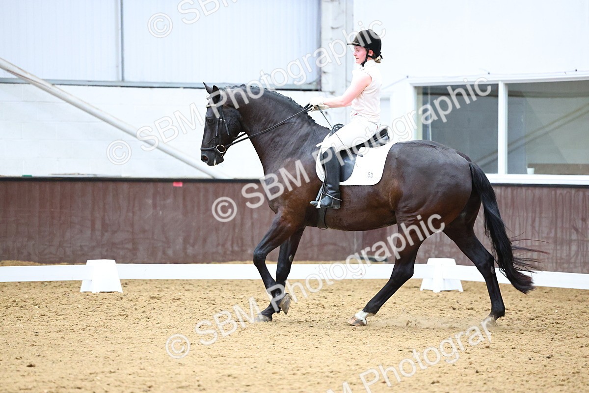 SBM_005546 - Elementary 2