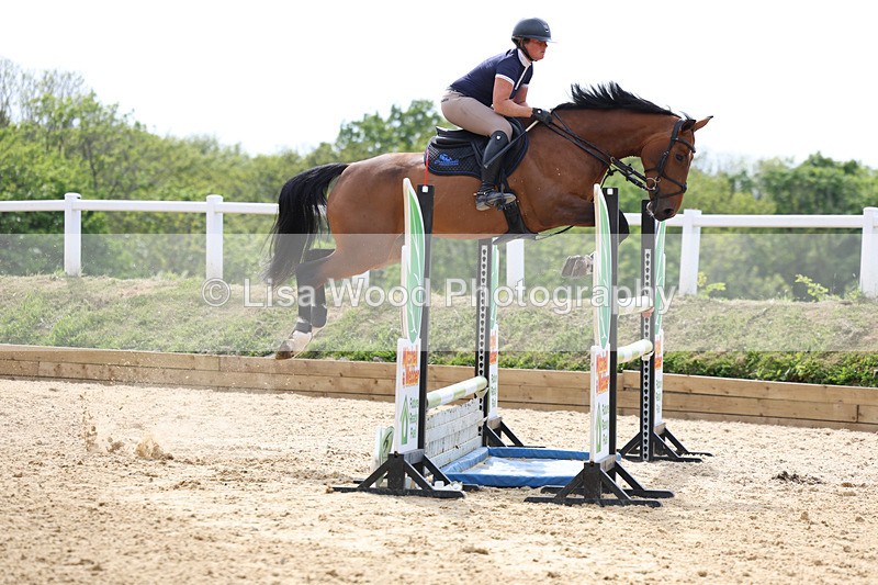 3E7A7722 - Class 8: Senior Foxhunter/1.20 open