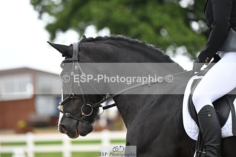 250705-175524-02413 - N1 Section BDNOV1 1350 to 15.28