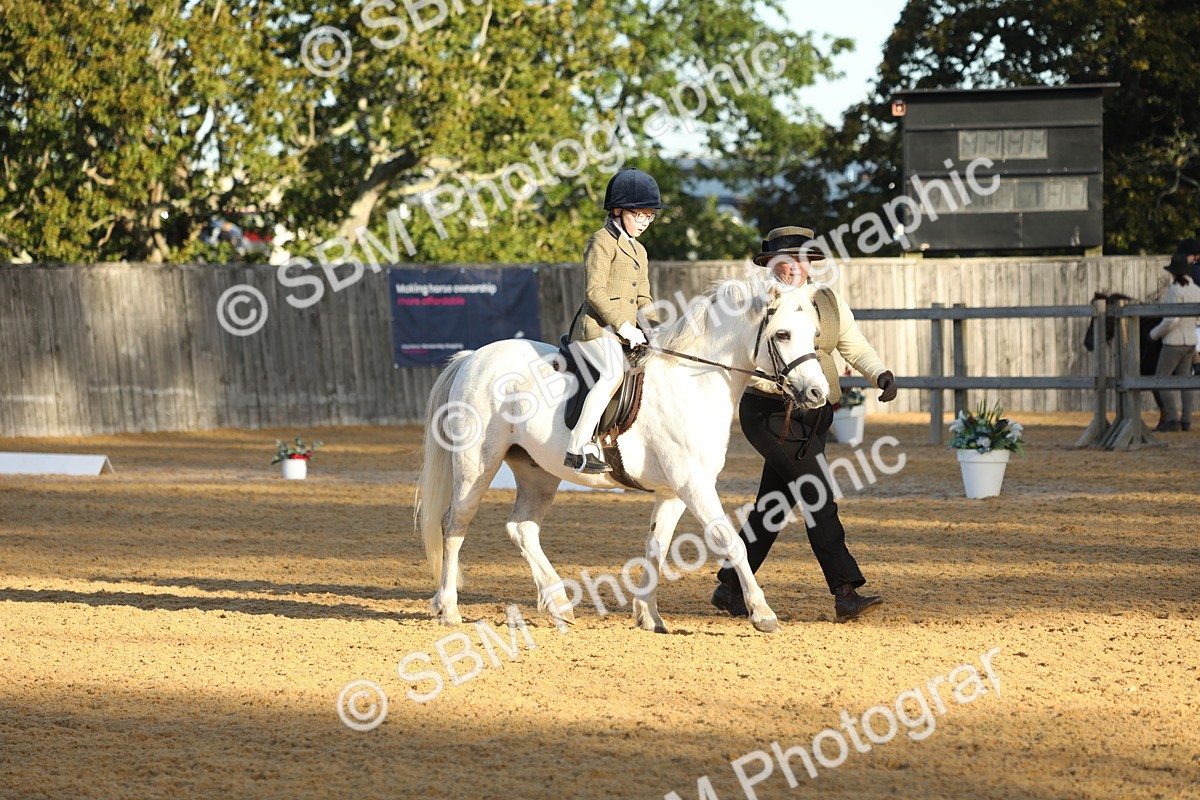 SBM_33607 - D26 - Starers - Lead Rein