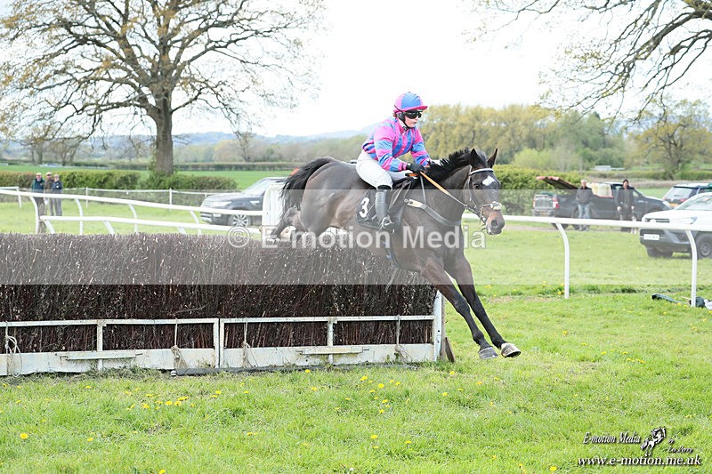 PtP 180426 107 - Worcestershire Hunt PtP Chaddesley Corbett 18/04/26
