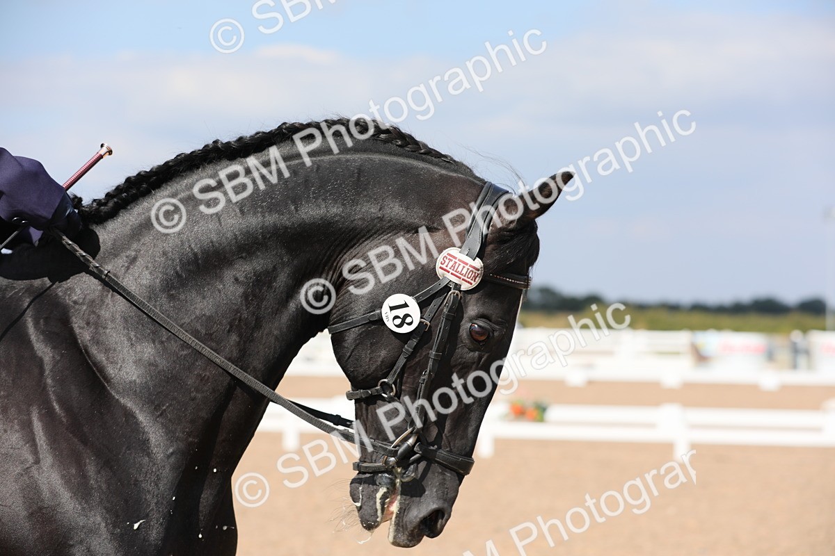 SBM_07593 - Class 33 Elementary 1