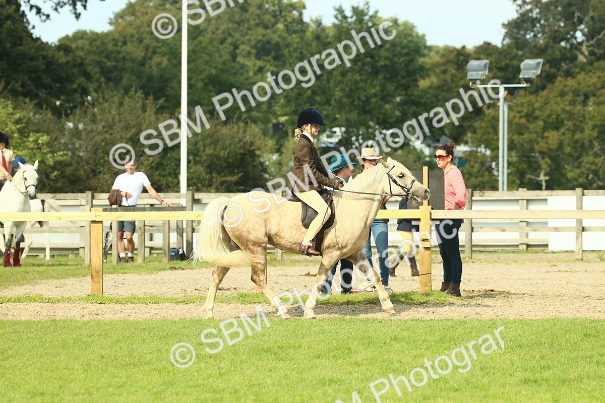 SBM_68828 - S58 - Mini Show Cob Ridden