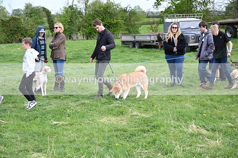 WJ6_8502 - Class 6 Best Rescue