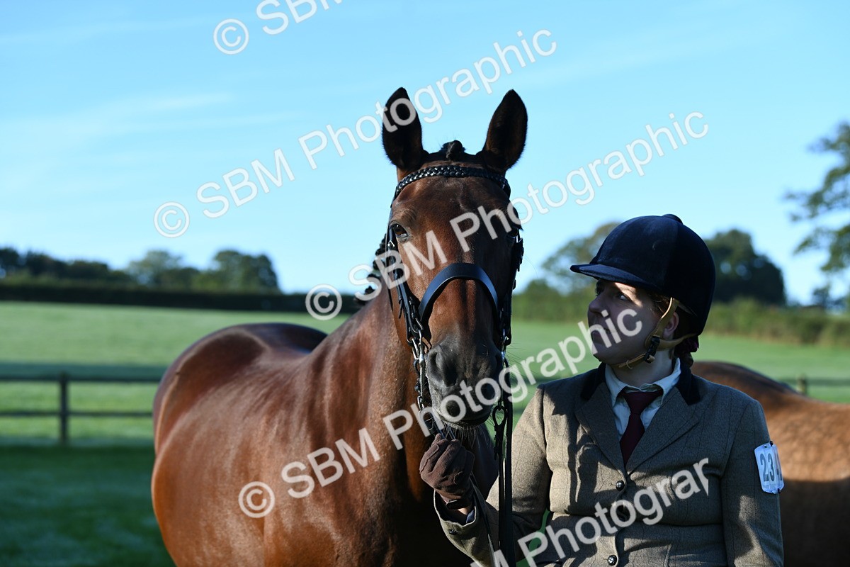 SBM_32781 - S15 - Condition & Turnout In Hand