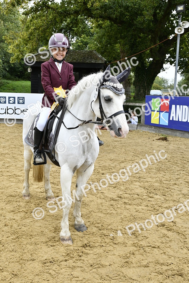 SBM_66207 - J2a mini Tour Junior Pony 30cm Championship