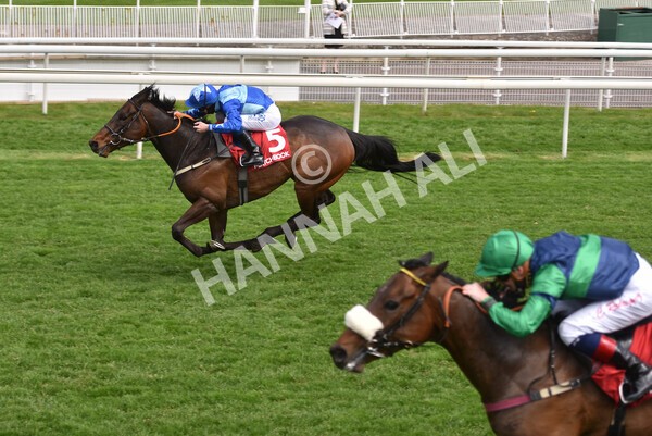  - Race 3 2.40pm The Matchbook Betting Podcast Hambleton Stakes