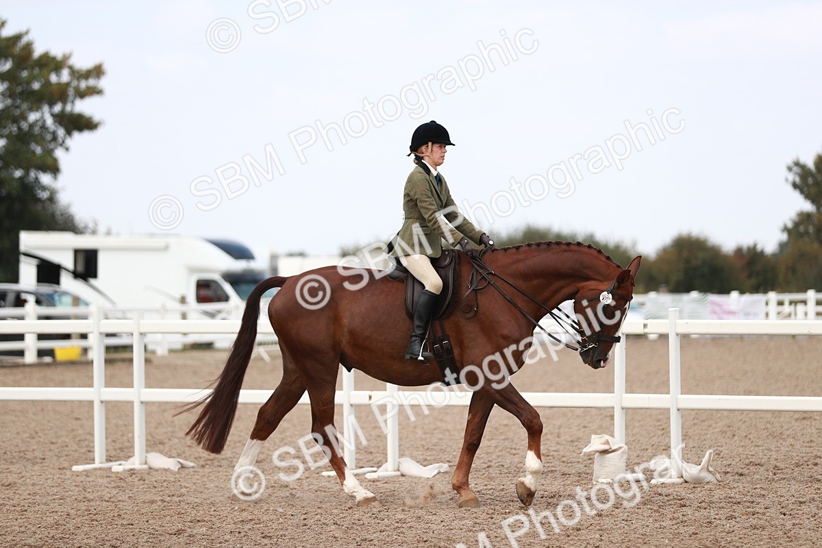 SBM_15476 - Class 213 Ridden Hunter -Large