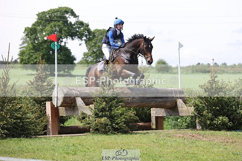 240525-141139-14536 - 162-HAZZLE_DAZZLE-Henry_Hobby