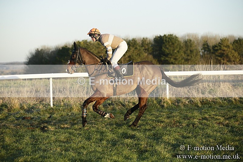 PtP 070118 -736 - Larkhill Racing Club Point to Point Larkhill 07/01/2018