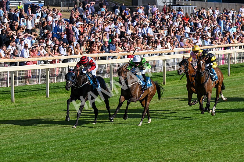 240726-Race 2-Vaguely Royal-0220 - Race 2 18.05pm Elevator Company Handicap