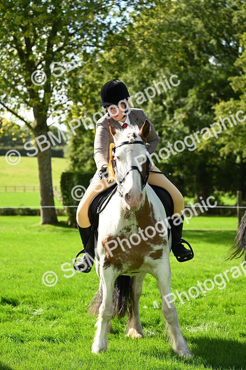 SBM_02114 - S2 - TSR Ridden Horse Showing