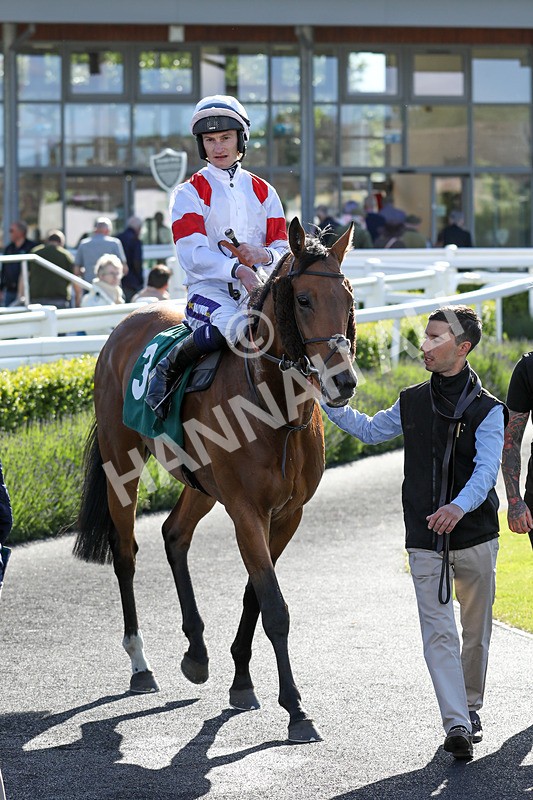 080624-Race 7-Starshine Legend-5124 - Race 7